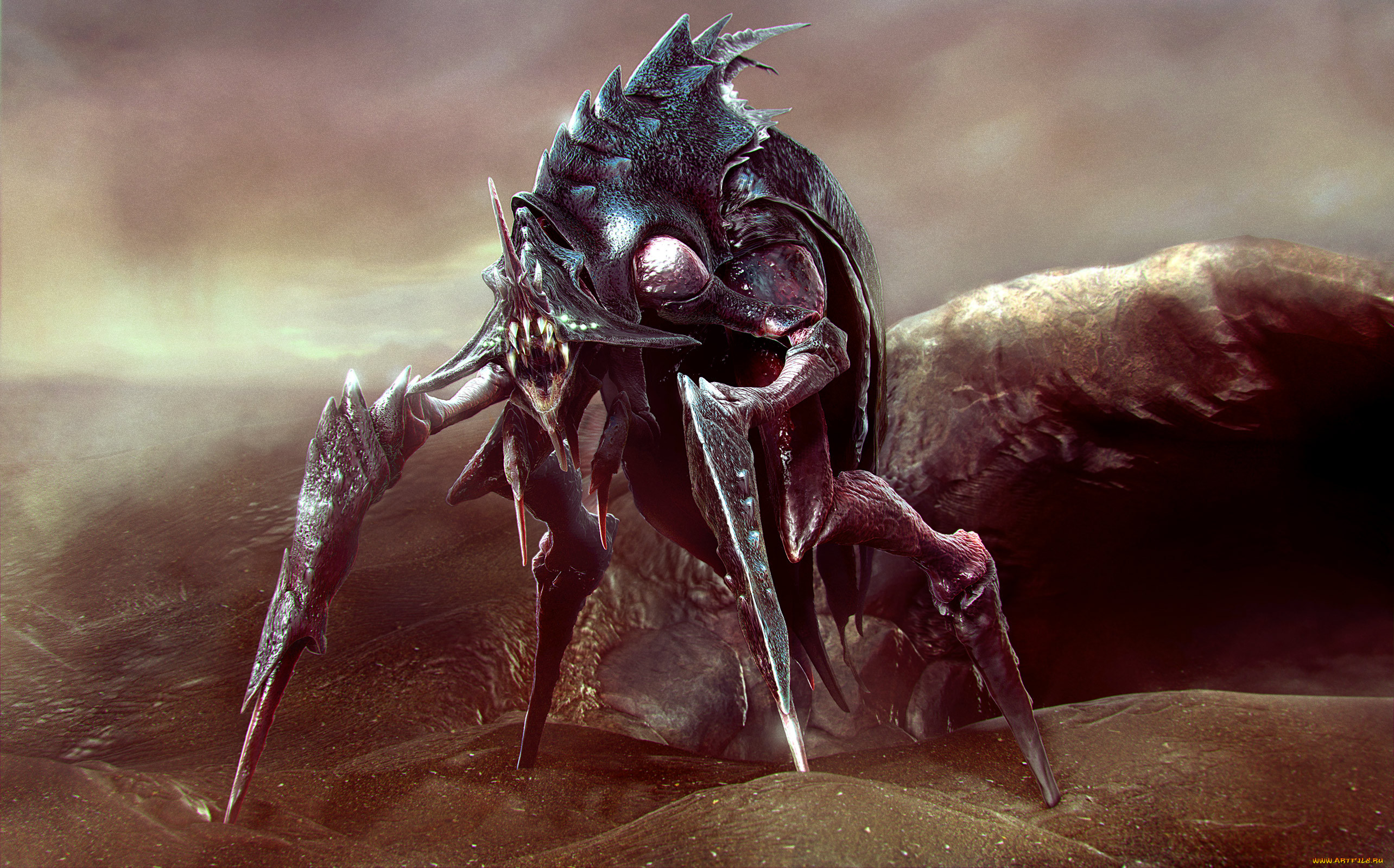 3 , creatures , , 